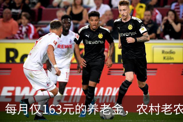 每月仅163元的养老金，农村老农民的沉重负担